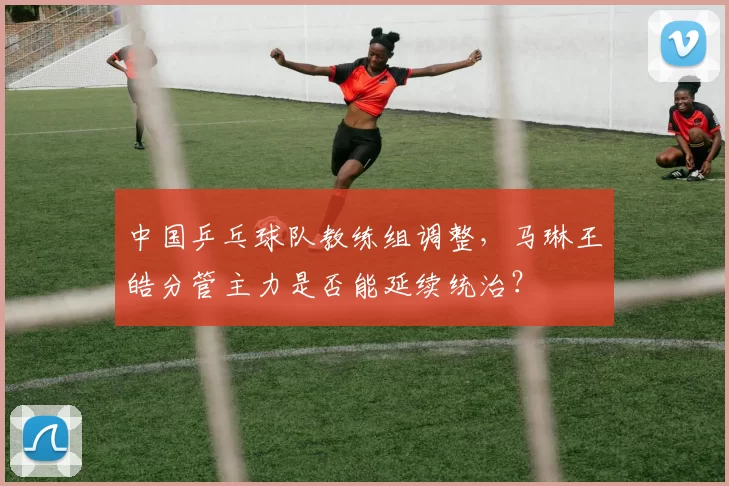 中国乒乓球队教练组调整,马琳王皓分管主力是否能延续统治?